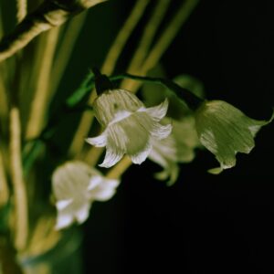 lily of the valley, paper flowers, white flowers